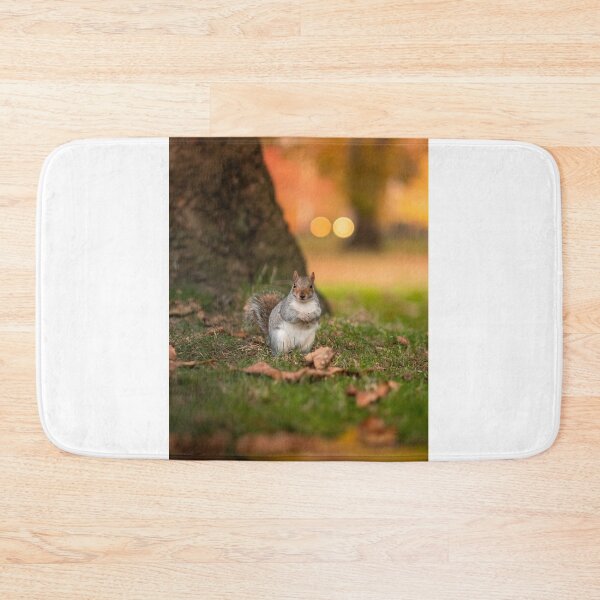 Item preview, Squirrel in Woods designed and sold by ScoutIRE.