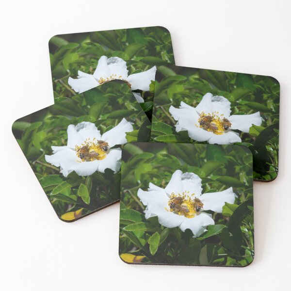 Item preview, Feeding Bees  designed and sold by StaLiVa.