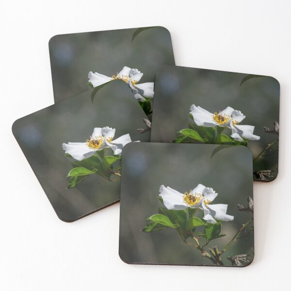 Item preview, Bees and Bokeh designed and sold by StaLiVa.