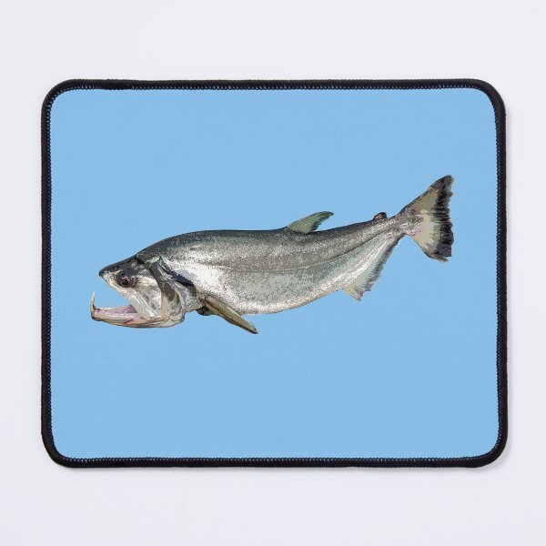 Item preview, Payara Color Design designed and sold by designsasstultd.