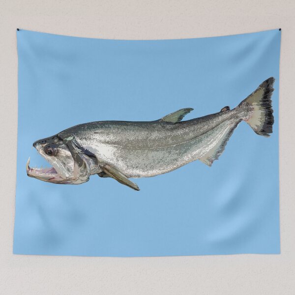 Item preview, Payara Color Design designed and sold by designsasstultd.