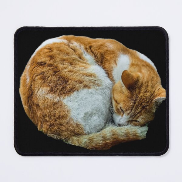 Item preview, Curled Up Cat designed and sold by JDWCreations.