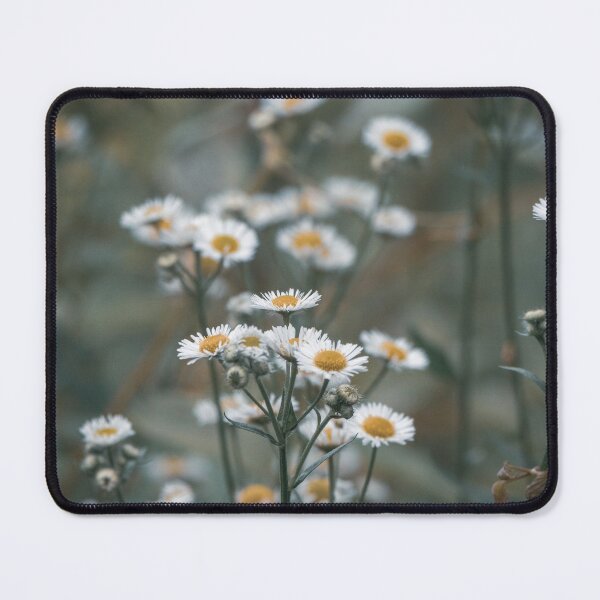 Item preview, Prairie Fleabane Flowers designed and sold by HectorCantres.