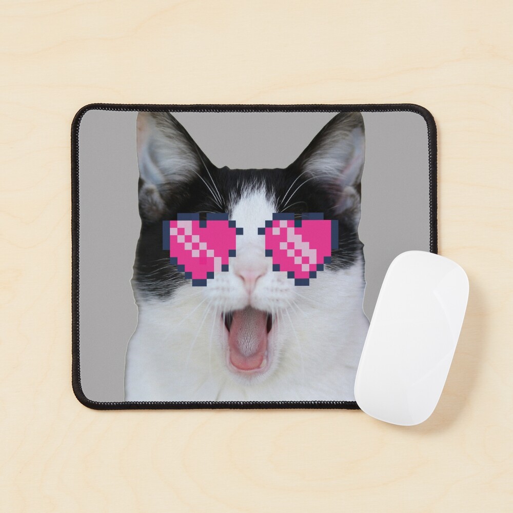 Beluga Discord - Beluga Cat - Pixel Pink Glasses Art Board Print for Sale  by DiensDesign