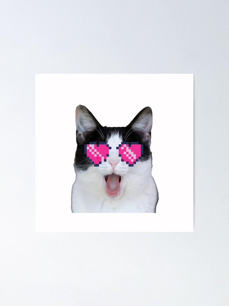 Beluga Discord - Beluga Cat - Pixel Pink Glasses Poster for Sale by  DiensDesign