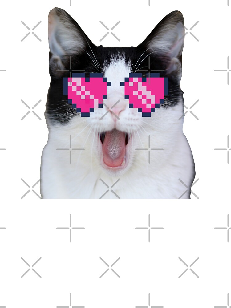 Beluga Discord - Beluga Cat - Pixel Pink Glasses Poster for Sale by  DiensDesign