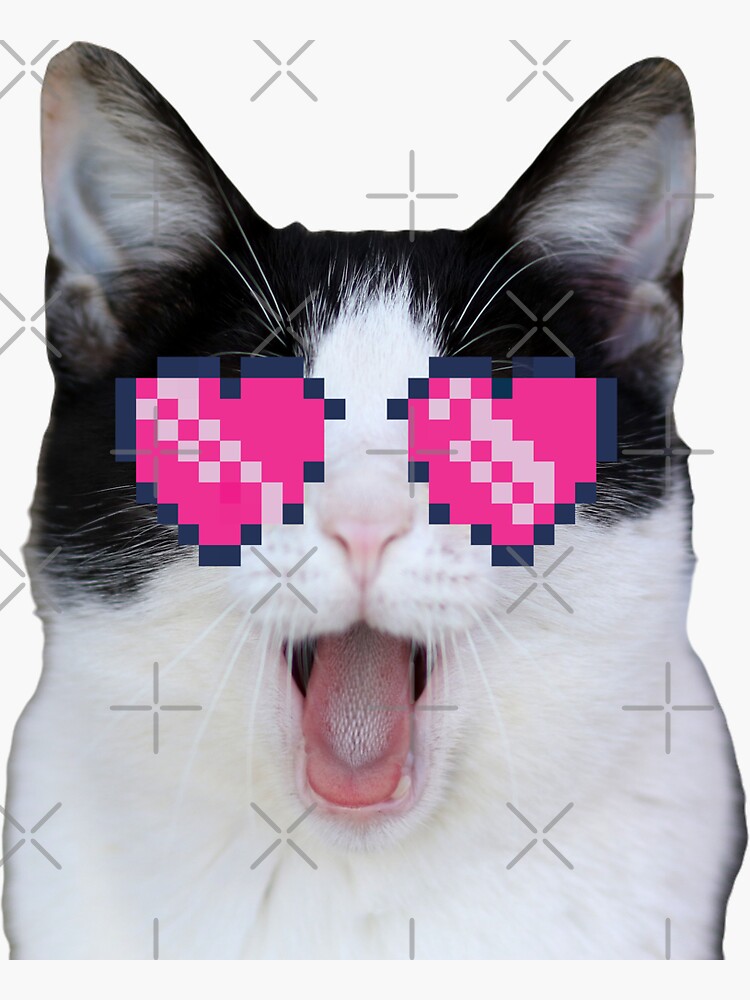 Beluga Discord Beluga Cat Pixel Pink Glasses Sticker By Diensdesign Redbubble 