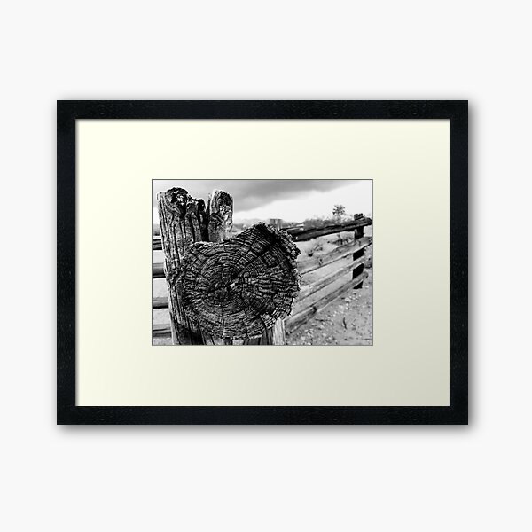 Rings Framed Art Print