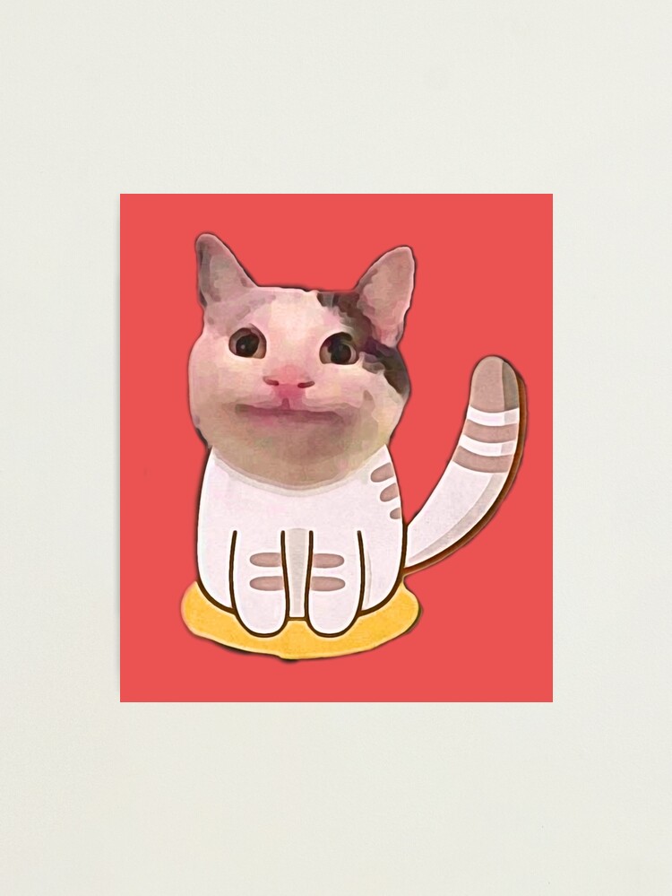 Tổng hợp 86 về beluga discord avatar headenglisheduvn #6 Tổng hợp 86 về beluga discord avatar headenglisheduvn