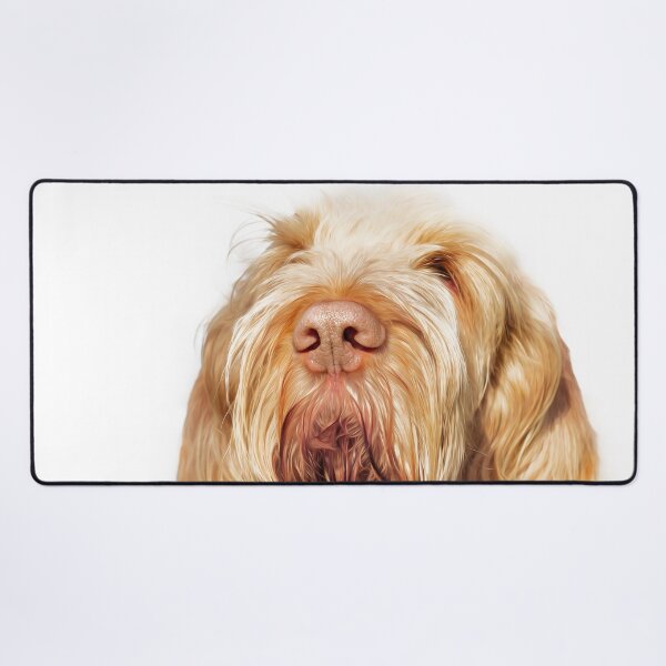 Waiting for you Spinone Desk Mat