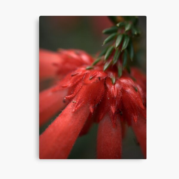 Item preview, Nothing To Get Hung About. designed and sold by Ben Loveday.
