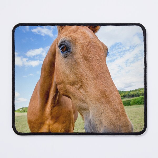 Item preview, Horse of a Dun Colour designed and sold by FOLK ART FUSION by heidiannemorris.