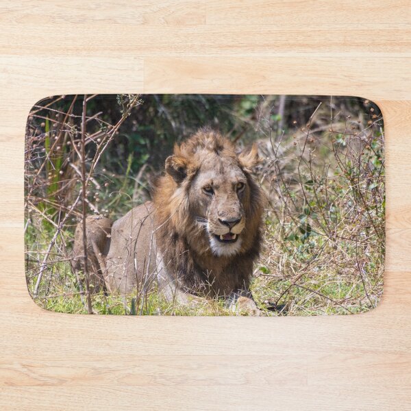 Item preview, Smiling Lion Big Cat Showing His Teeth designed and sold by SafariByMarisa.