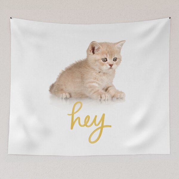 Item preview, cat sayes hey, cat, kitten, kitty, meow, funny cat, cats, animals, animal, pet, cute cat, ketty, my cat, black cat, cat says no, designed and sold by ghadirjo.