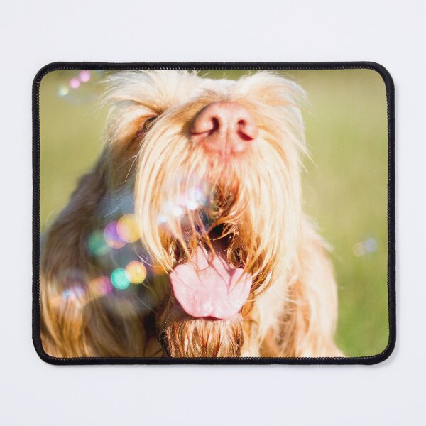 Item preview, Soap bubbles Spinone designed and sold by FOLK ART FUSION by heidiannemorris.