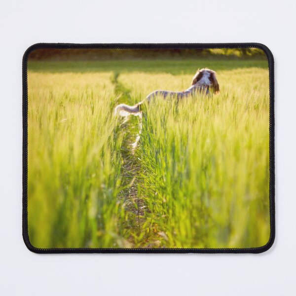 Item preview, Barley field Spinone designed and sold by FOLK ART FUSION by heidiannemorris.
