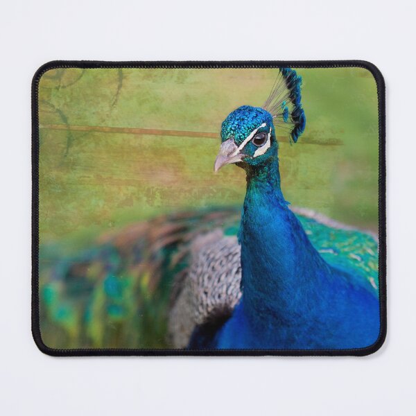 Item preview, Peacocks and Responsibilities  designed and sold by FOLK ART FUSION by heidiannemorris.