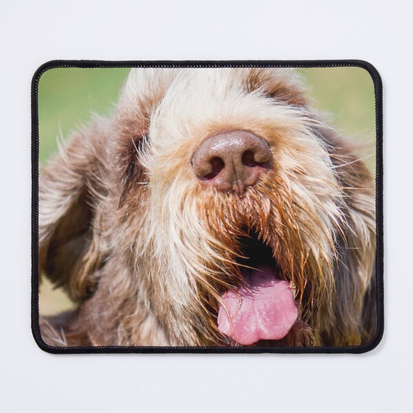 Item preview, Happy Spinone designed and sold by FOLK ART FUSION by heidiannemorris.