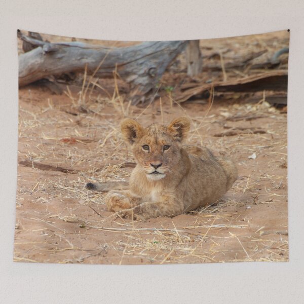 Item preview, Little Lion Cub Resting designed and sold by SafariByMarisa.