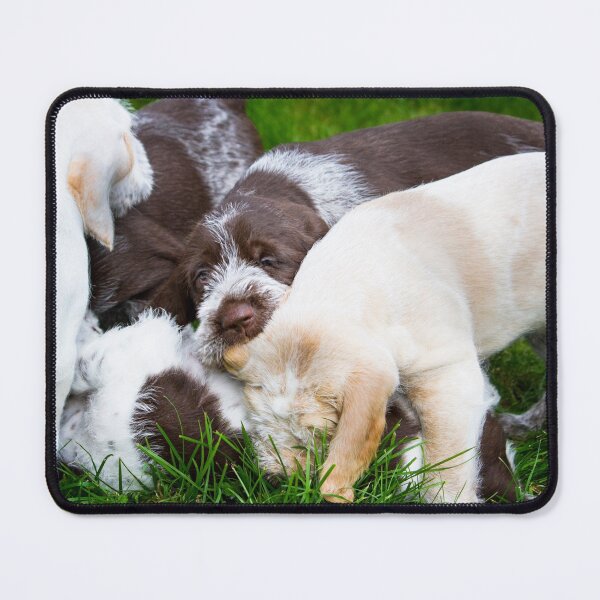 Item preview, Spinone puppy pile up by heidiannemorris designed and sold by FOLK ART FUSION by heidiannemorris.