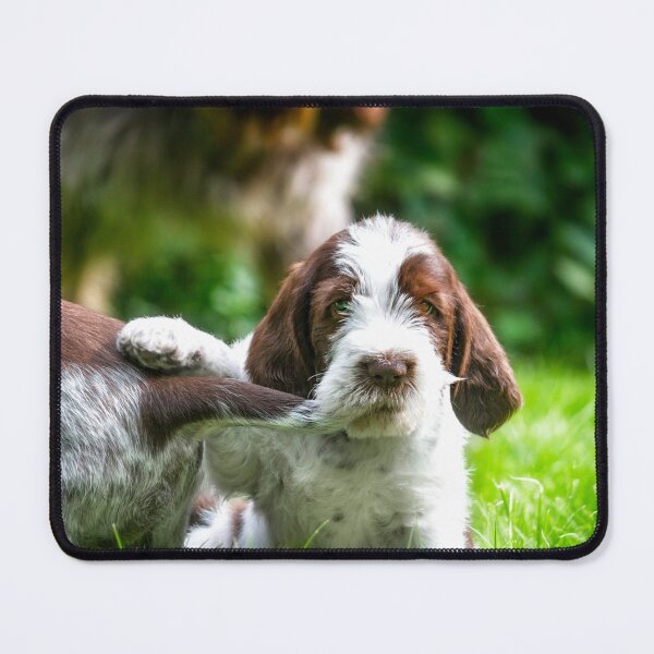 Item preview, Spinone puppy dog tails by heidiannemorris designed and sold by FOLK ART FUSION by heidiannemorris.