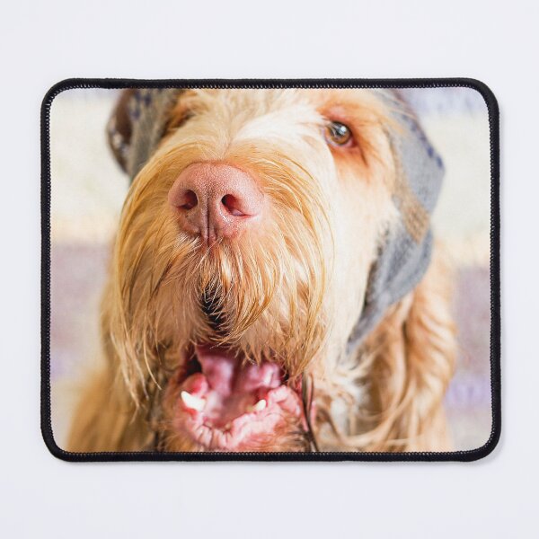 Item preview, Hat chatty Spinone designed and sold by FOLK ART FUSION by heidiannemorris.