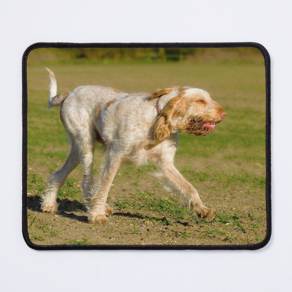 Item preview, Into the wind Spinone designed and sold by FOLK ART FUSION by heidiannemorris.