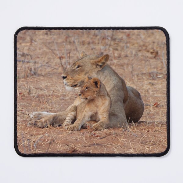 Item preview, Lioness and Lion Cub Snuggle Together designed and sold by SafariByMarisa.