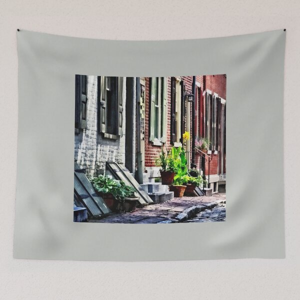 Item preview, Philadelphia Pa Street With Flower Pots designed and sold by Susan Savad.