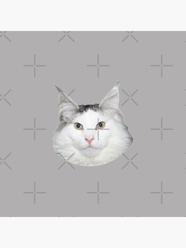 Beluga Discord - Beluga Cat - Pixel Pink Glasses Poster for Sale by  DiensDesign