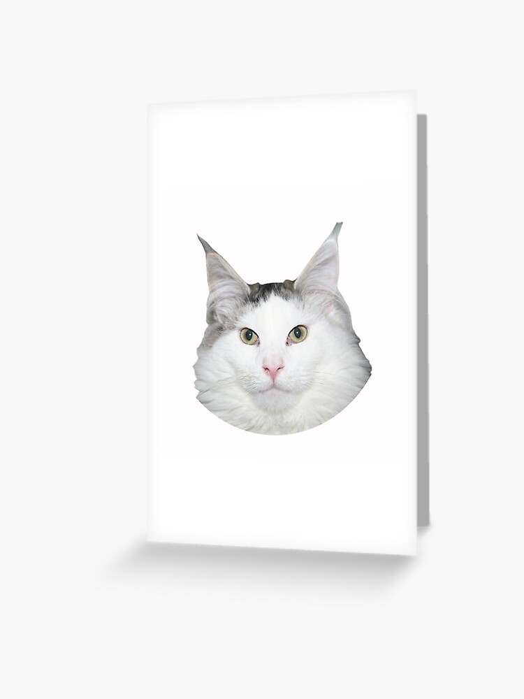 Beluga Kitty Paperized 