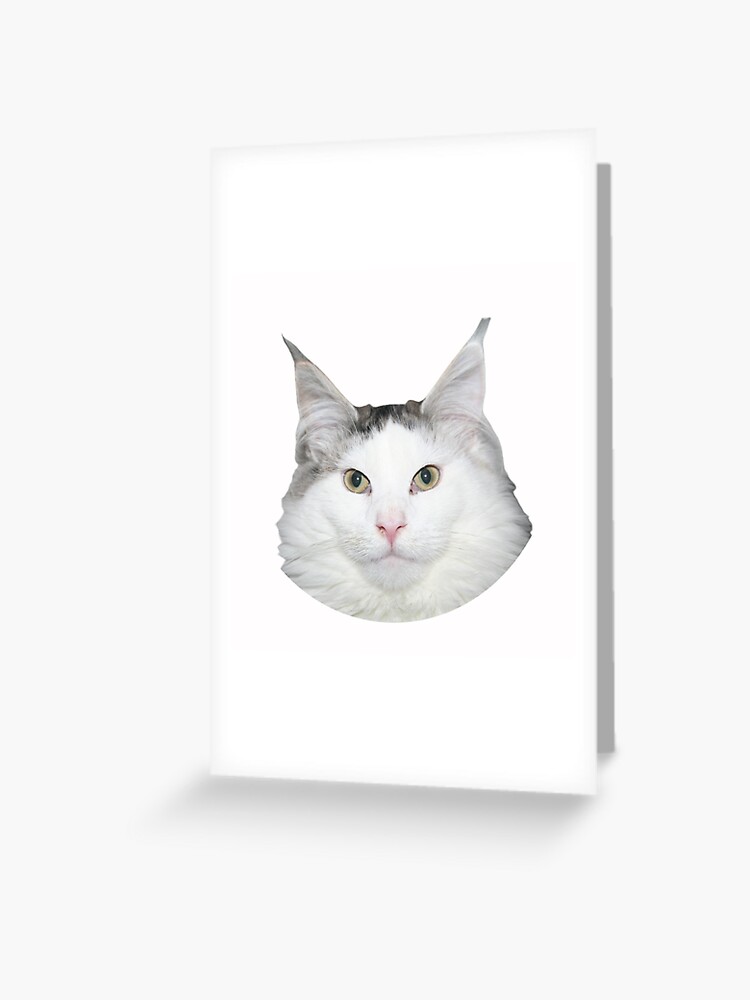 Beluga Discord - Beluga Cat - Pixel Pink Glasses Poster for Sale by  DiensDesign