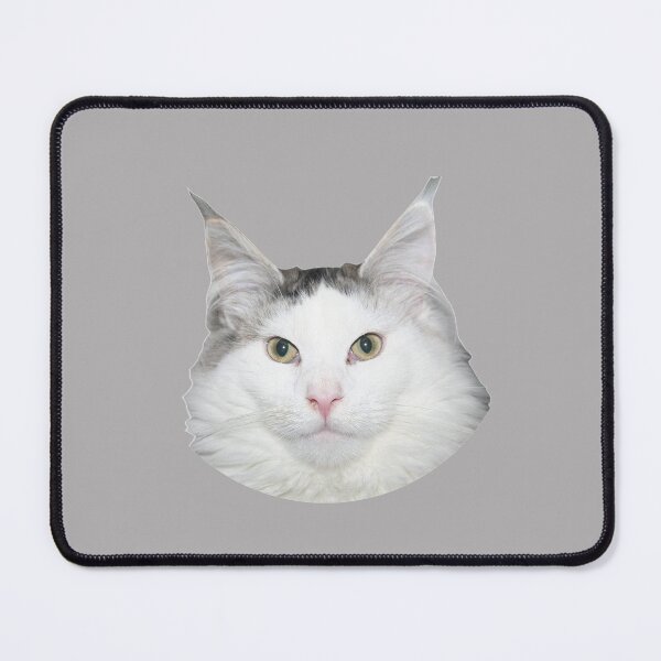 Item preview, Beluga Discord - Beluga Cat designed and sold by DiensDesign.