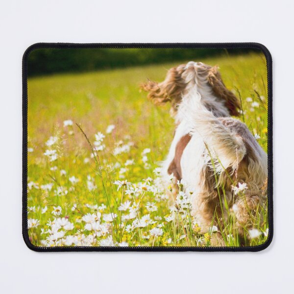 Item preview, Forever free Spinone designed and sold by FOLK ART FUSION by heidiannemorris.