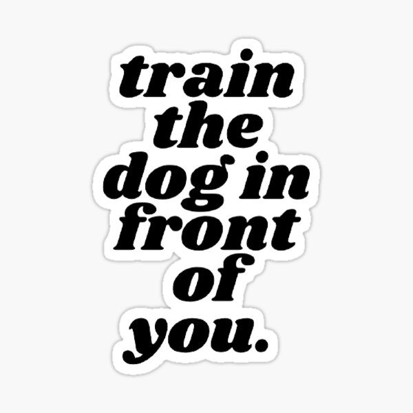 Train the Dog in Front of You Sticker