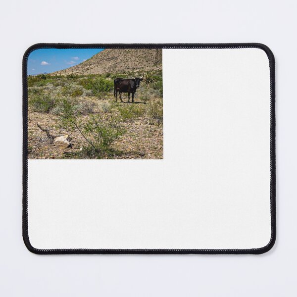 Item preview, Criollo Cattle on the Open Range designed and sold by GestaltImagery.