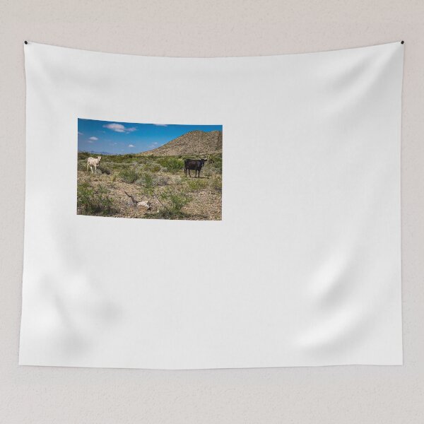 Item preview, Criollo Cattle on the Open Range designed and sold by GestaltImagery.
