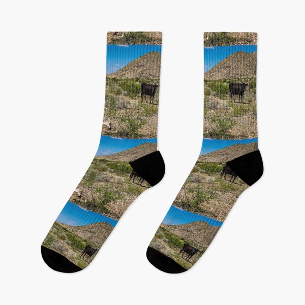 Item preview, Criollo Cattle on the Open Range designed and sold by GestaltImagery.