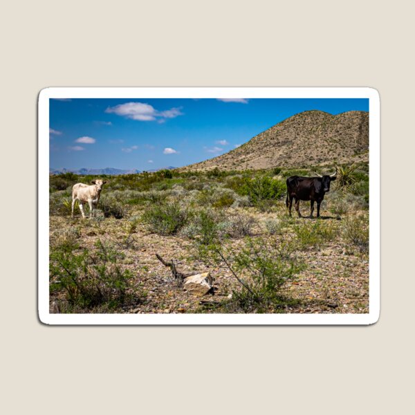 Item preview, Criollo Cattle on the Open Range designed and sold by GestaltImagery.