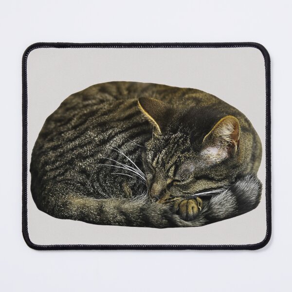Item preview, Curled Up Cat designed and sold by JDWCreations.