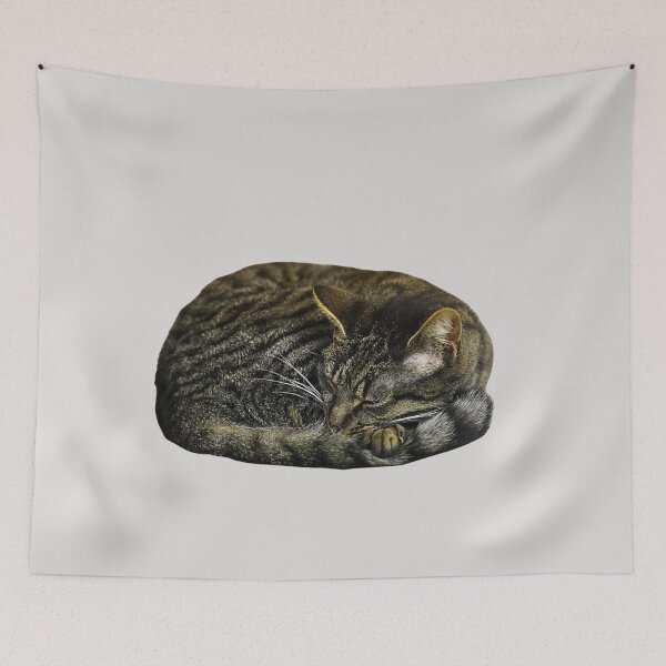 Item preview, Curled Up Cat designed and sold by JDWCreations.