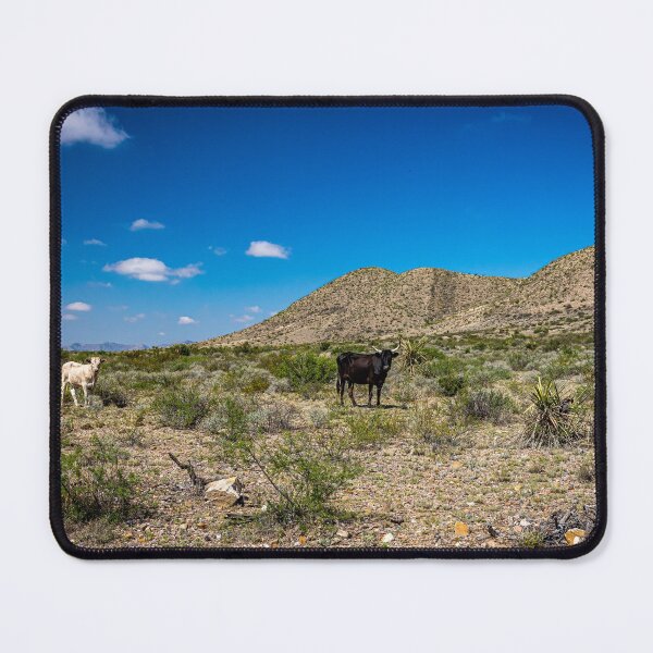 Item preview, Criollo Cattle on the Open Range designed and sold by GestaltImagery.