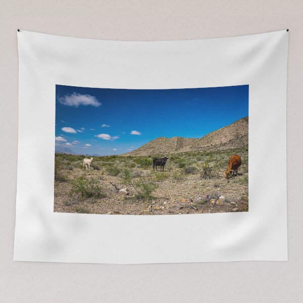 Item preview, Criollo Cattle on the Open Range designed and sold by GestaltImagery.
