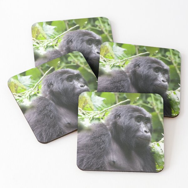 Item preview, Female Gorilla in Kigali National Park, Uganda designed and sold by SafariByMarisa.
