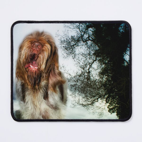 Item preview, Chatty Spinone by heidiannemorris designed and sold by FOLK ART FUSION.