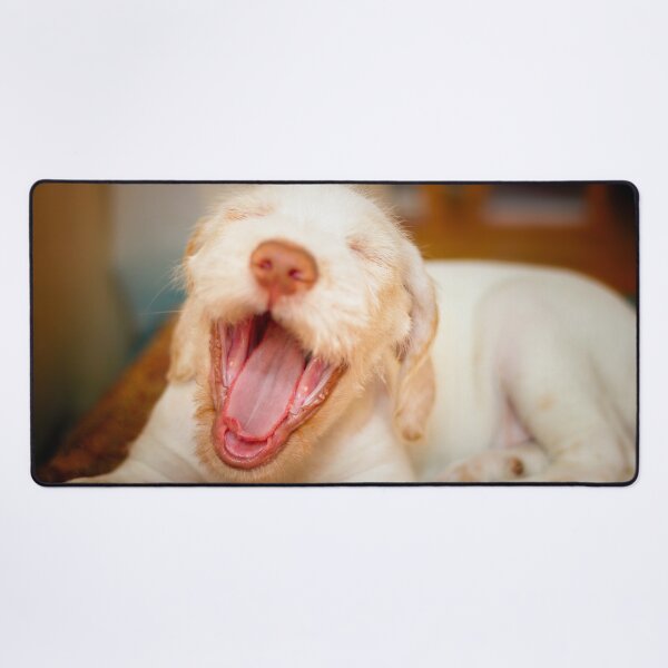 Item preview, Laughing puppy Spinone designed and sold by FOLK ART FUSION by heidiannemorris.