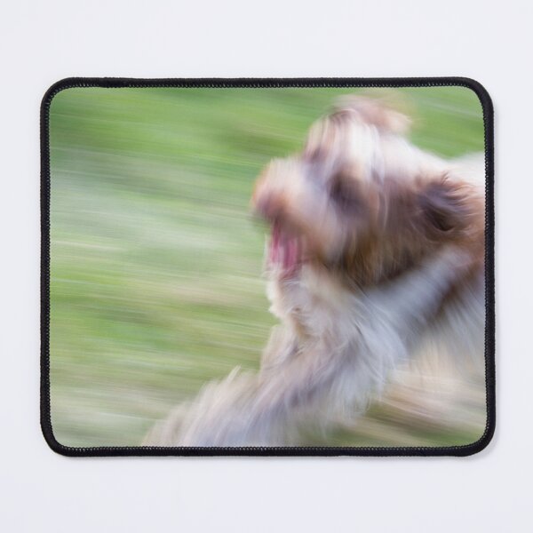 Item preview, Brown Roan Italian Spinone Dog designed and sold by FOLK ART FUSION by heidiannemorris.