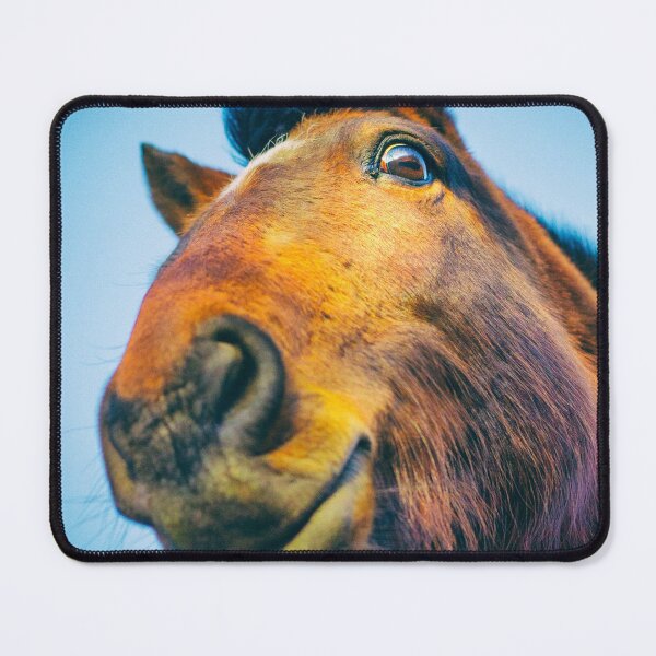 Item preview, Dark Bay Horse designed and sold by FOLK ART FUSION by heidiannemorris.