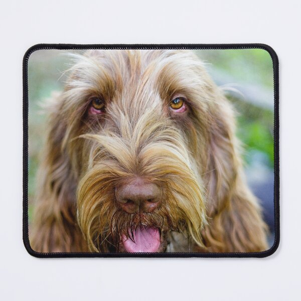 Item preview, Super cute Spinone designed and sold by FOLK ART FUSION by heidiannemorris.