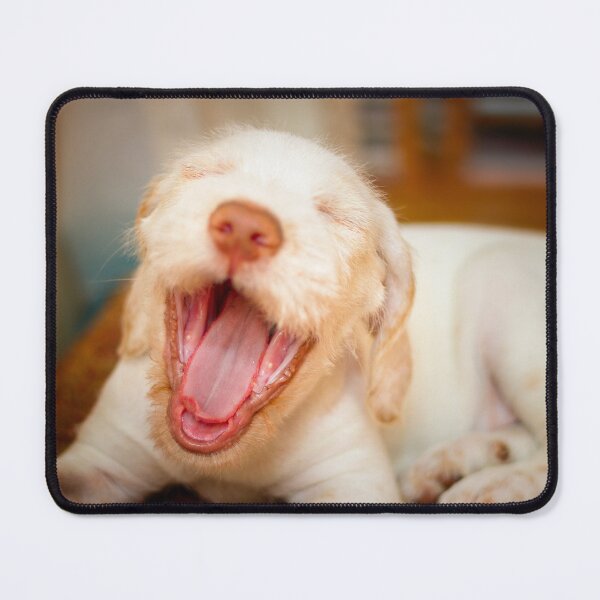 Item preview, Cachorro riendo Spinone designed and sold by FOLK ART FUSION by heidiannemorris.